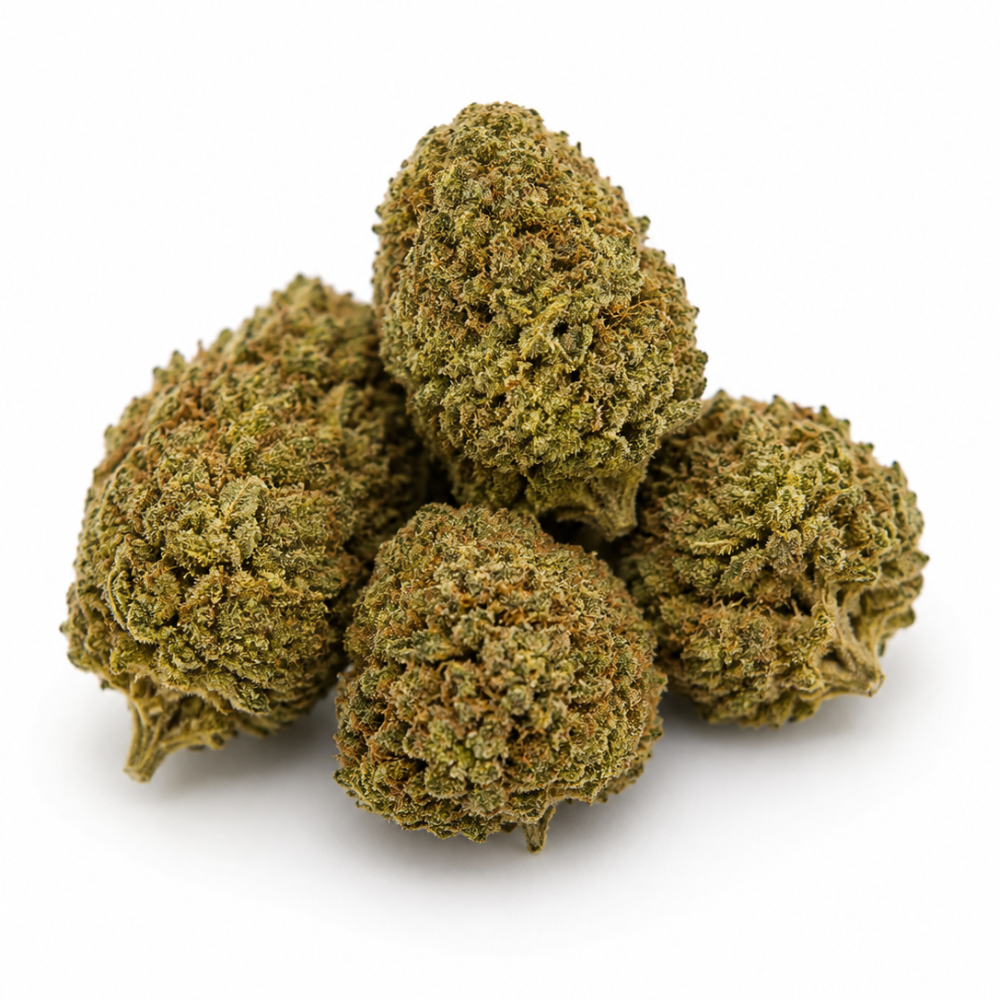 G13